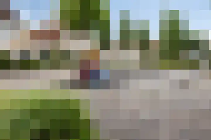 Fonteinkruid 11 Zeewolde thumbnail 47