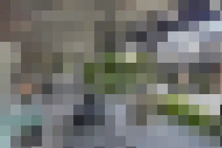Fonteinkruid 11 Zeewolde thumbnail 5