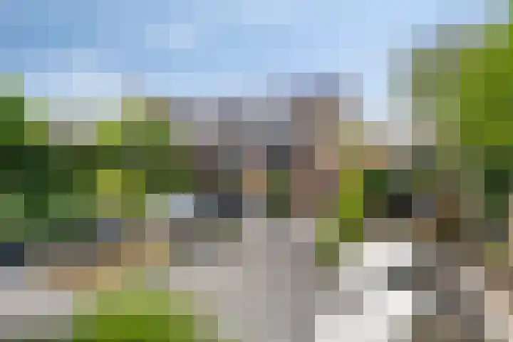 Fonteinkruid 11 Zeewolde thumbnail 7