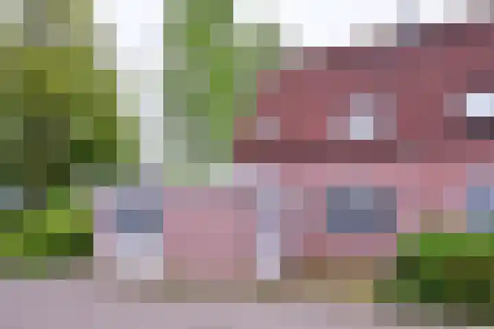 Fonteinkruid 114 in Deventer