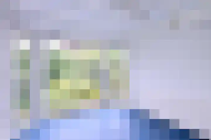Fonteinkruid 114 Deventer thumbnail 4
