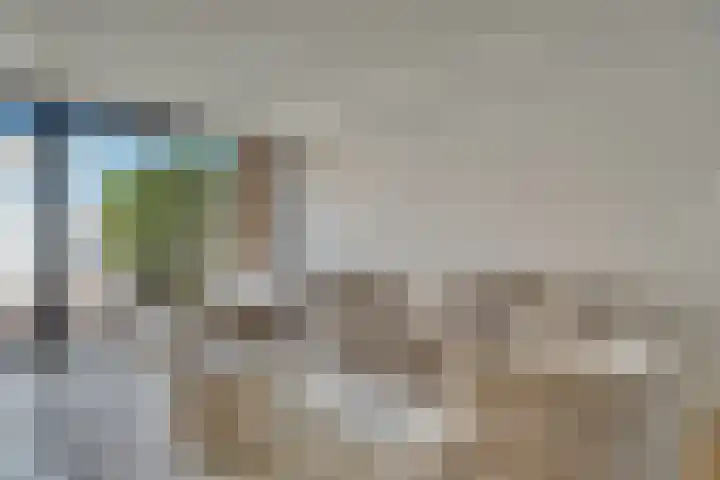 Fonteinkruid 13 Hendrik-Ido-Ambacht thumbnail 11