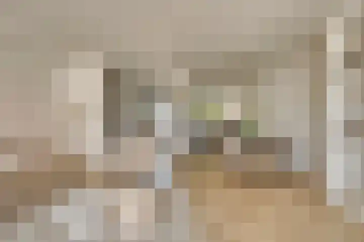 Fonteinkruid 13 Hendrik-Ido-Ambacht thumbnail 12