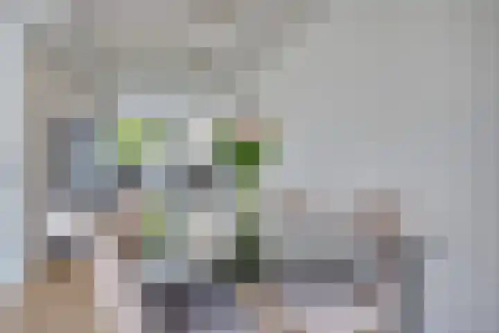 Fonteinkruid 13 Hendrik-Ido-Ambacht thumbnail 14