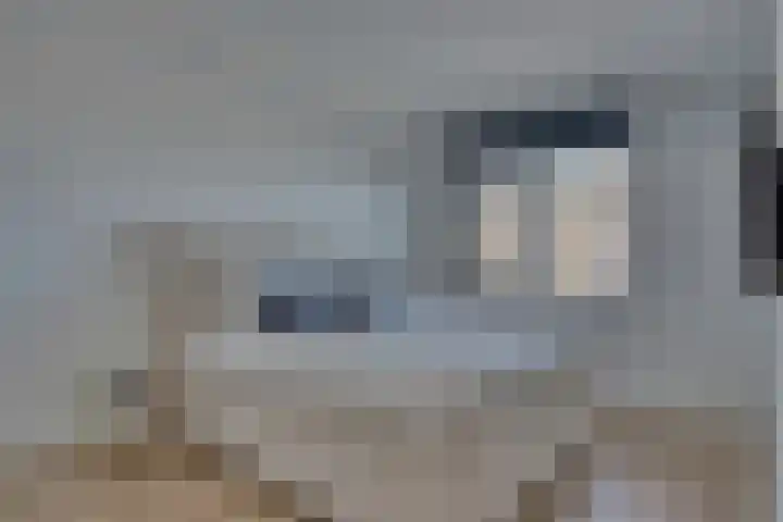 Fonteinkruid 13 Hendrik-Ido-Ambacht thumbnail 19