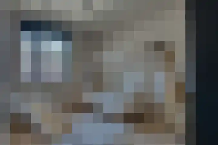Fonteinkruid 13 Hendrik-Ido-Ambacht thumbnail 22