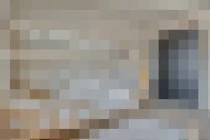 Fonteinkruid 13 Hendrik-Ido-Ambacht thumbnail 23