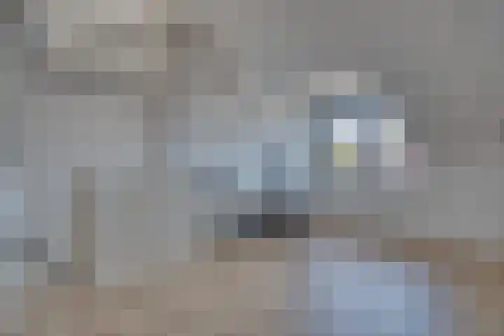 Fonteinkruid 13 Hendrik-Ido-Ambacht thumbnail 28