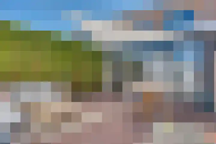 Fonteinkruid 13 Hendrik-Ido-Ambacht thumbnail 30