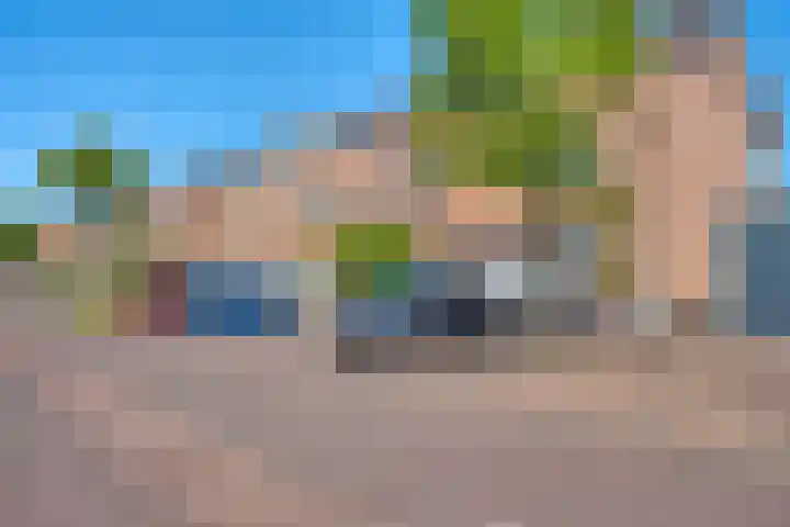Fonteinkruid 13 Hendrik-Ido-Ambacht thumbnail 5