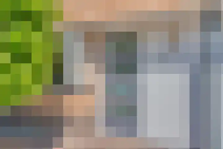 Fonteinkruid 13 Hendrik-Ido-Ambacht thumbnail 7