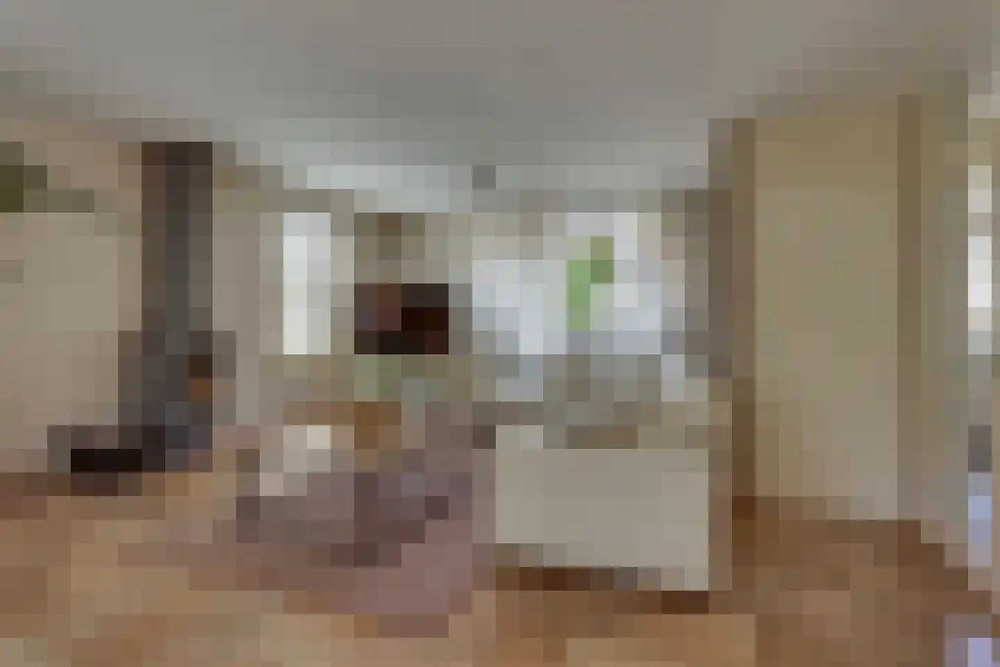 Fonteinkruid 156 Kampen thumbnail 13