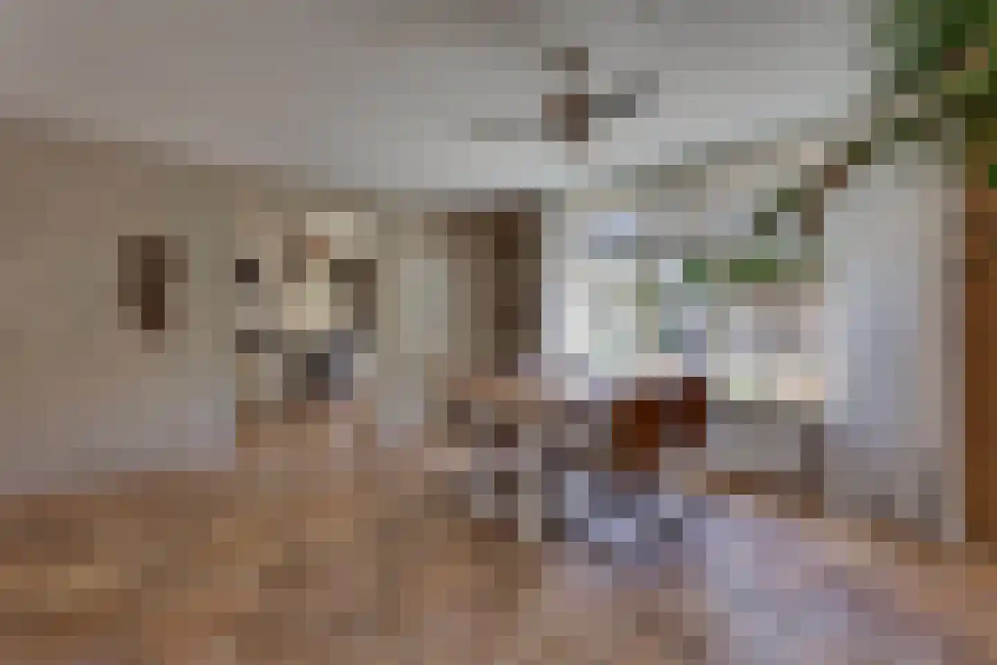 Fonteinkruid 156 Kampen thumbnail 16