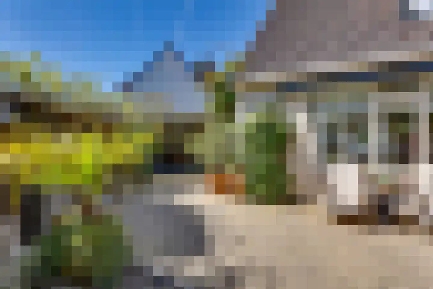 Fonteinkruid 156 Kampen thumbnail 25