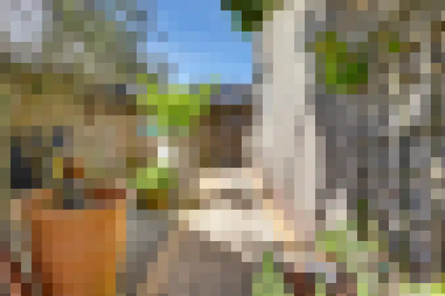 Fonteinkruid 156 Kampen thumbnail 26