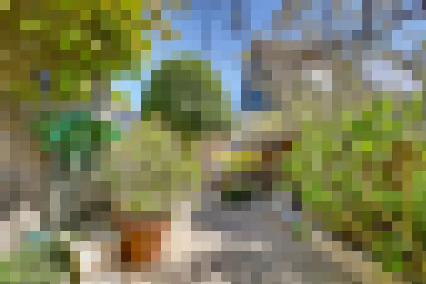 Fonteinkruid 156 Kampen thumbnail 28
