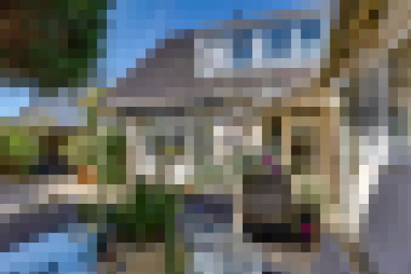 Fonteinkruid 156 Kampen thumbnail 31