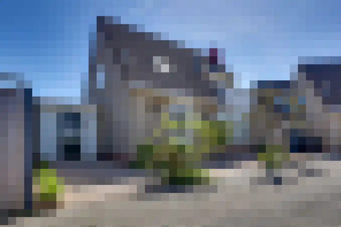 Fonteinkruid 156 Kampen thumbnail 6