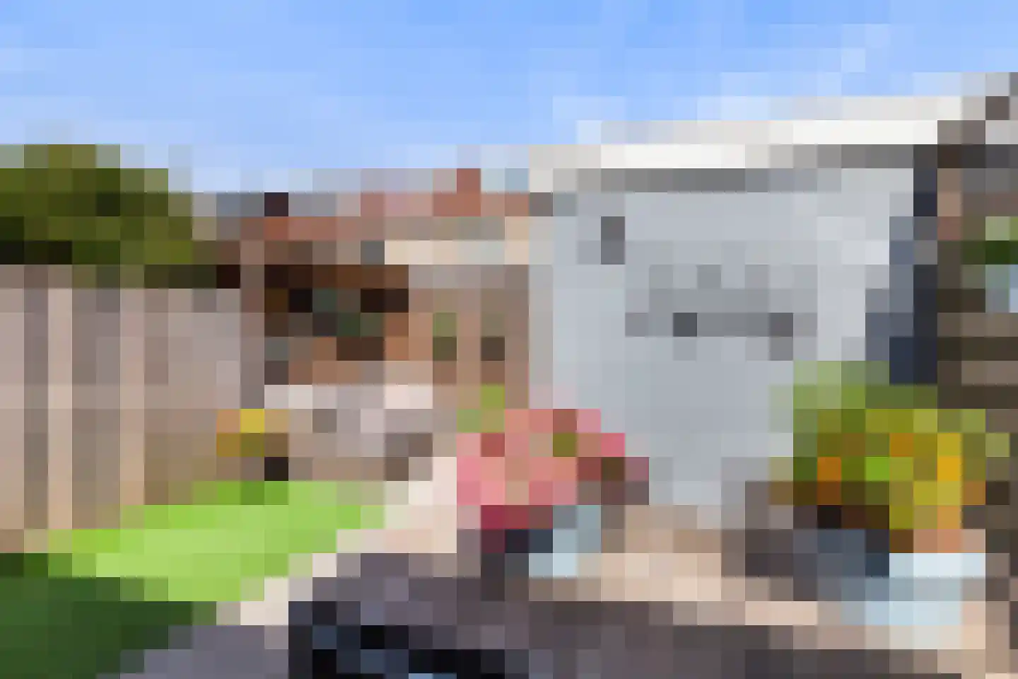 Fonteinkruid 16 Vlaardingen thumbnail 24