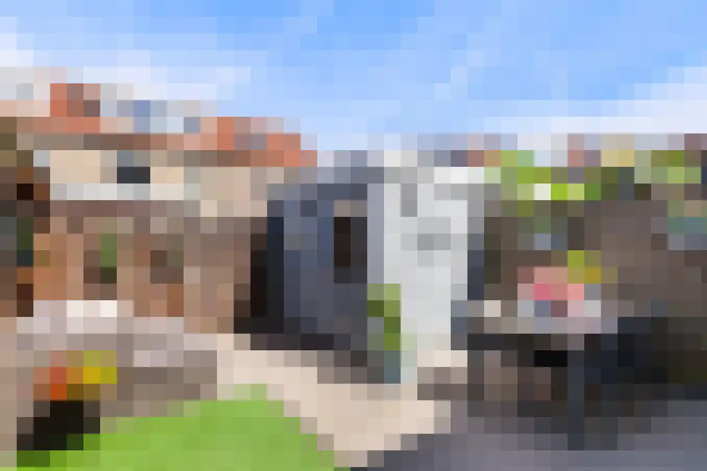 Fonteinkruid 16 Vlaardingen thumbnail 25