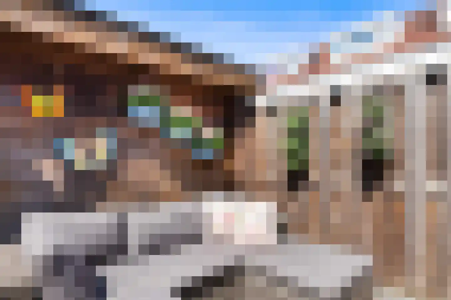 Fonteinkruid 16 Vlaardingen thumbnail 27