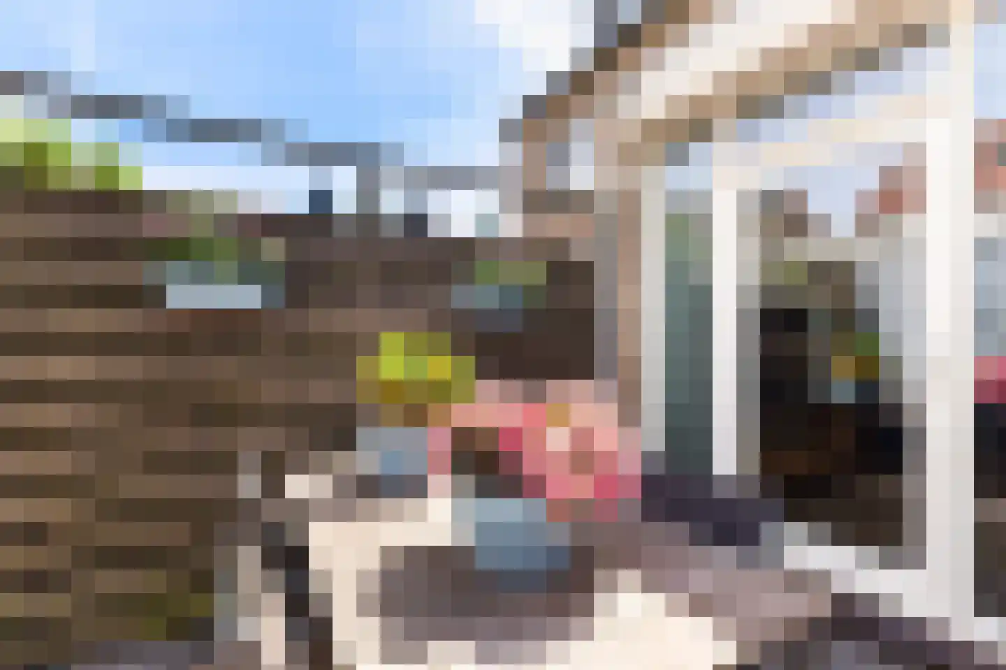 Fonteinkruid 16 Vlaardingen thumbnail 29