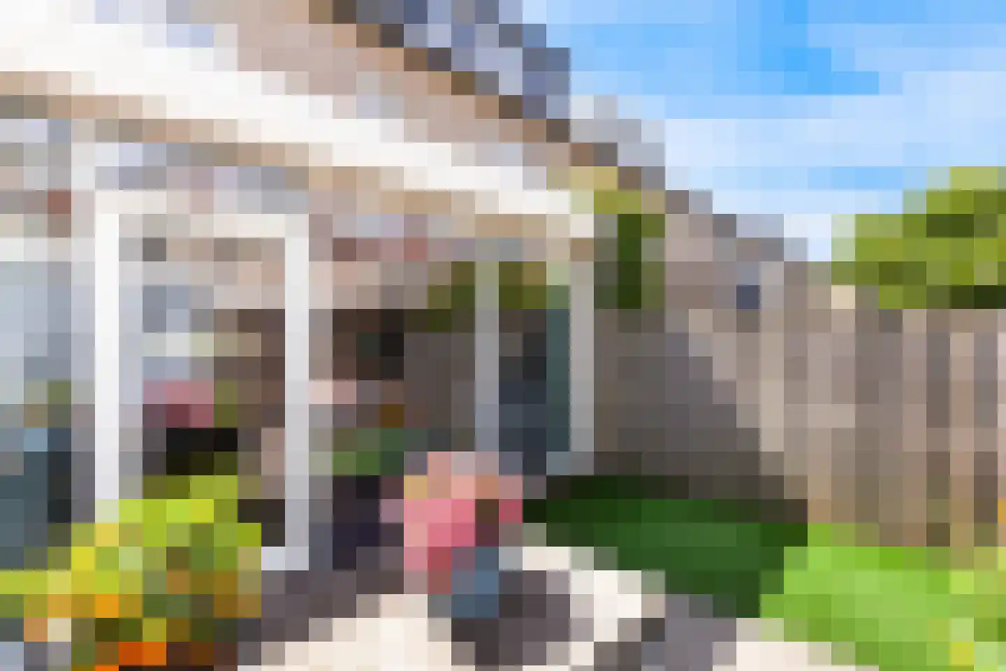 Fonteinkruid 16 Vlaardingen thumbnail 32