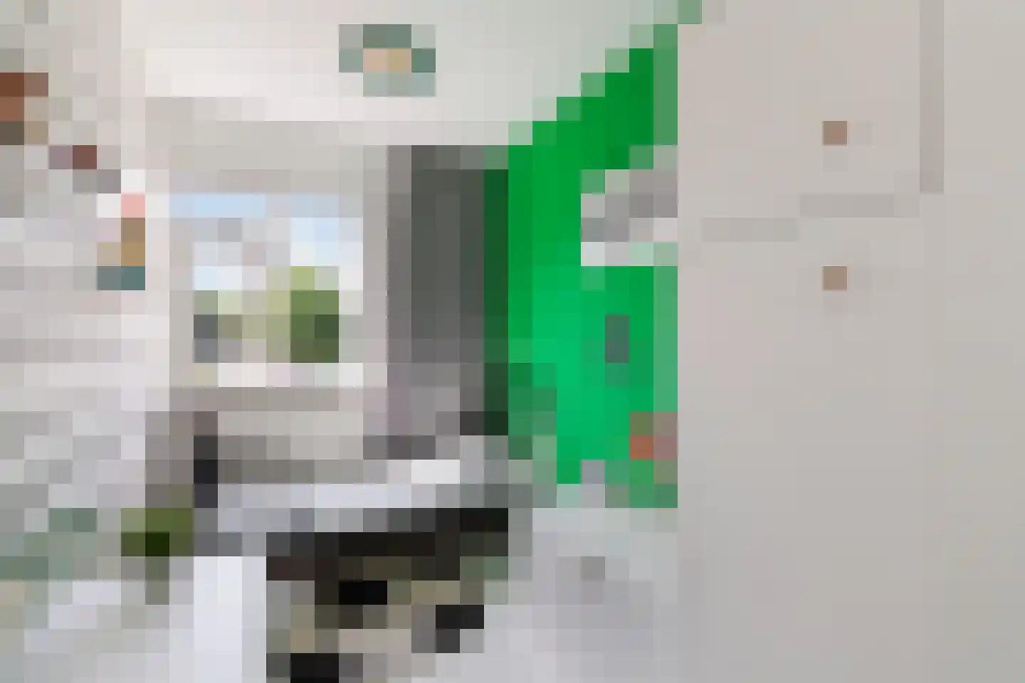 Fonteinkruid 16 Vlaardingen thumbnail 36