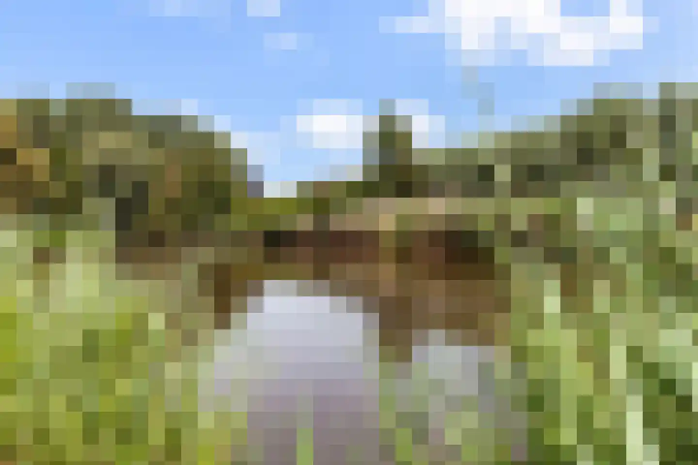 Fonteinkruid 16 Vlaardingen thumbnail 55