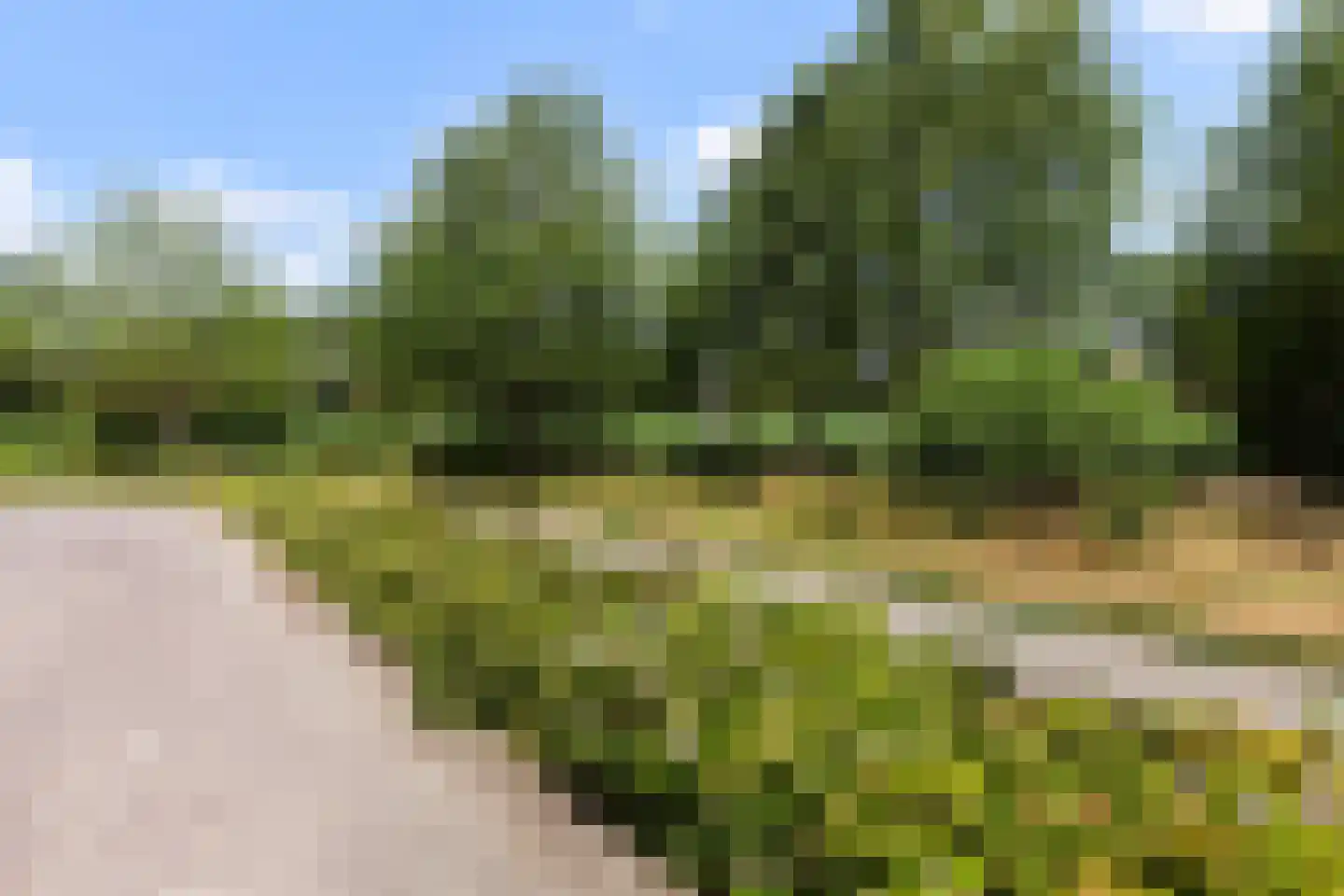 Fonteinkruid 16 Vlaardingen thumbnail 56