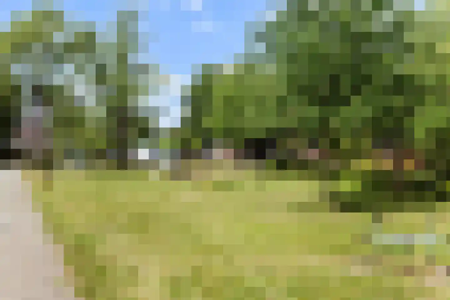 Fonteinkruid 16 Vlaardingen thumbnail 57