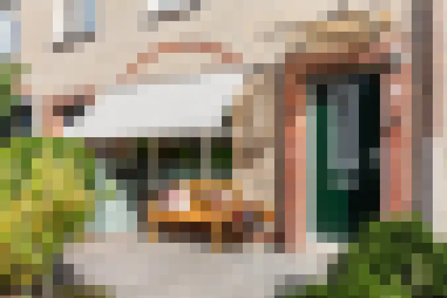 Fonteinkruid 16 Vlaardingen thumbnail 7