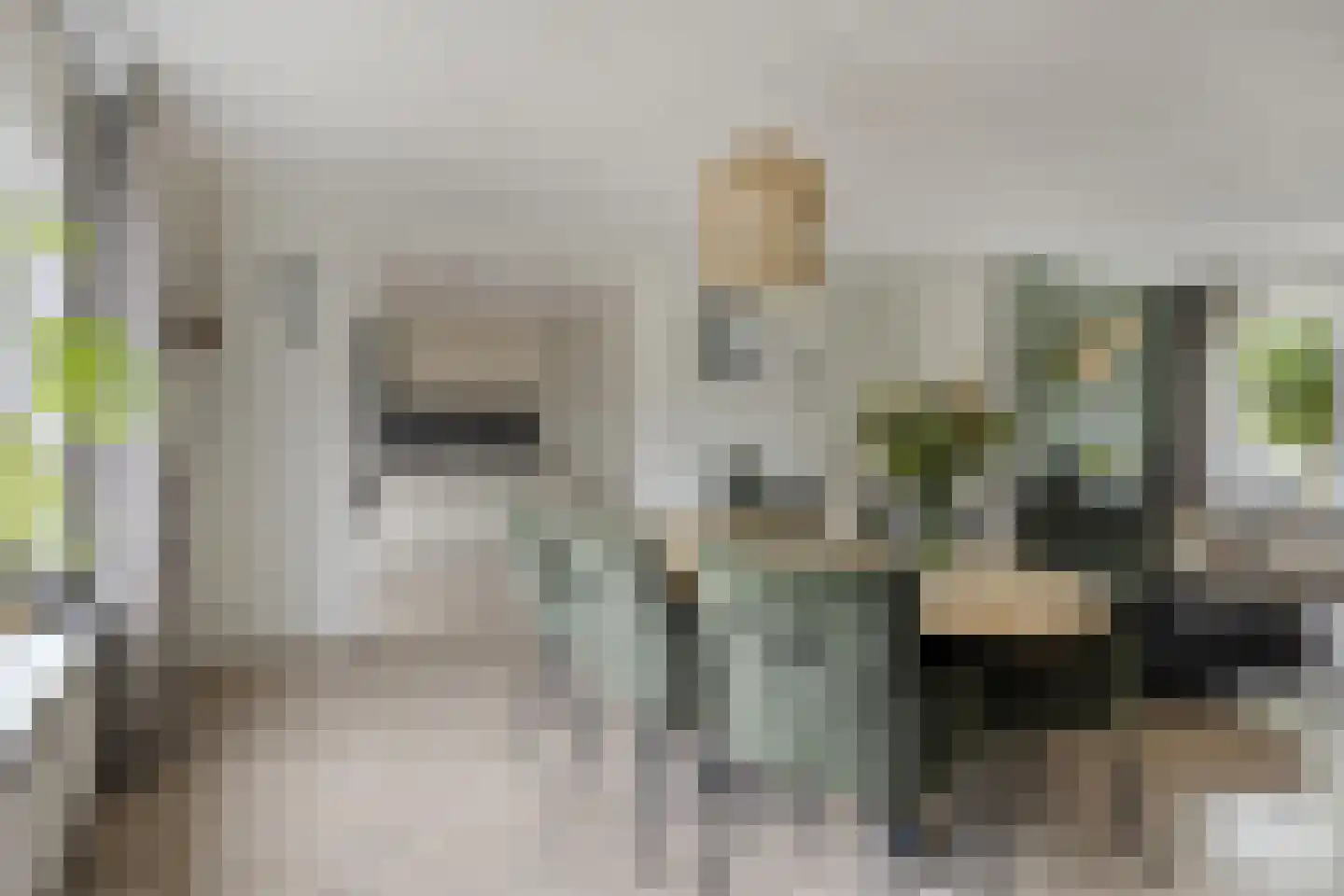 Fonteinkruid 160 Kampen thumbnail 10