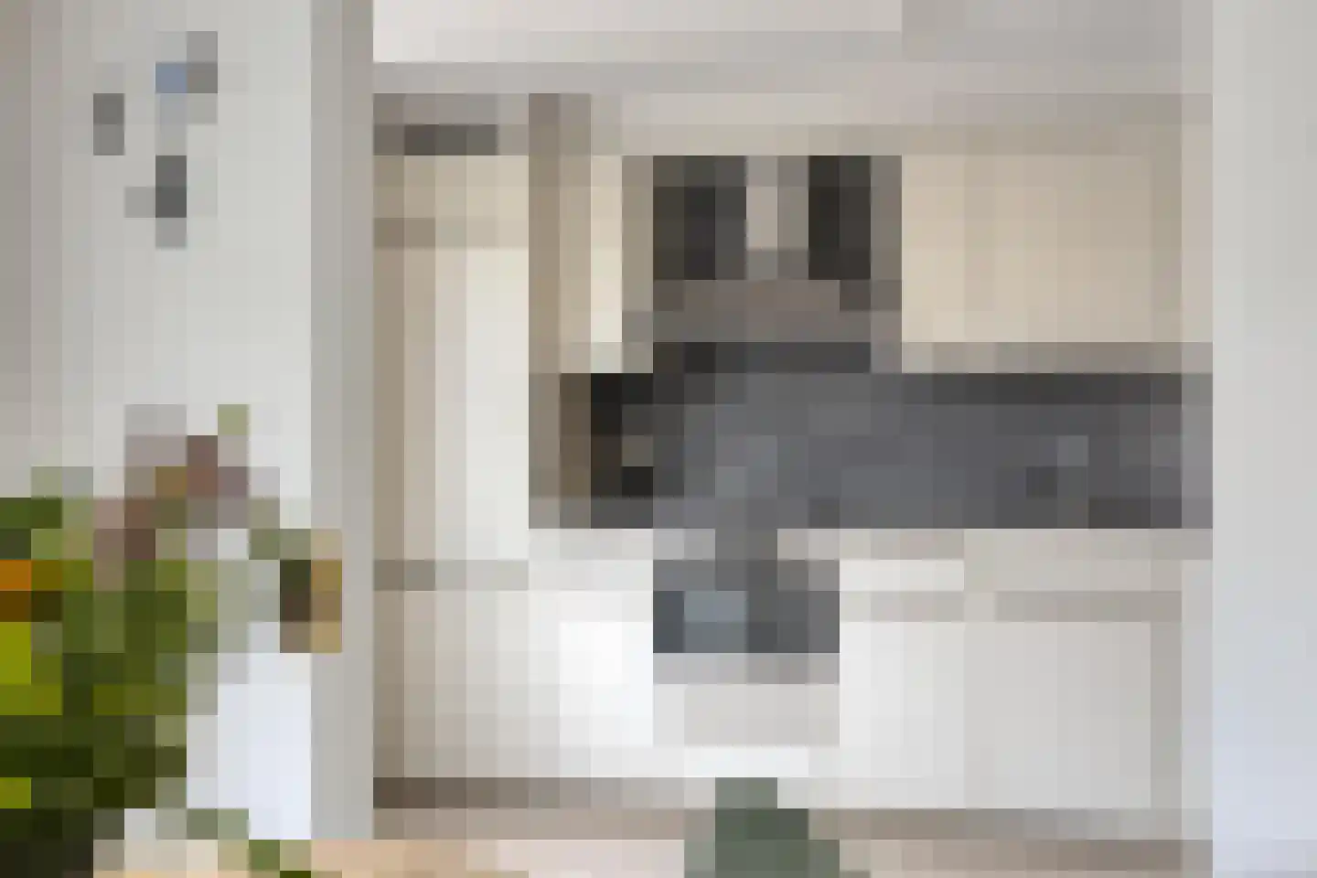 Fonteinkruid 160 Kampen thumbnail 11