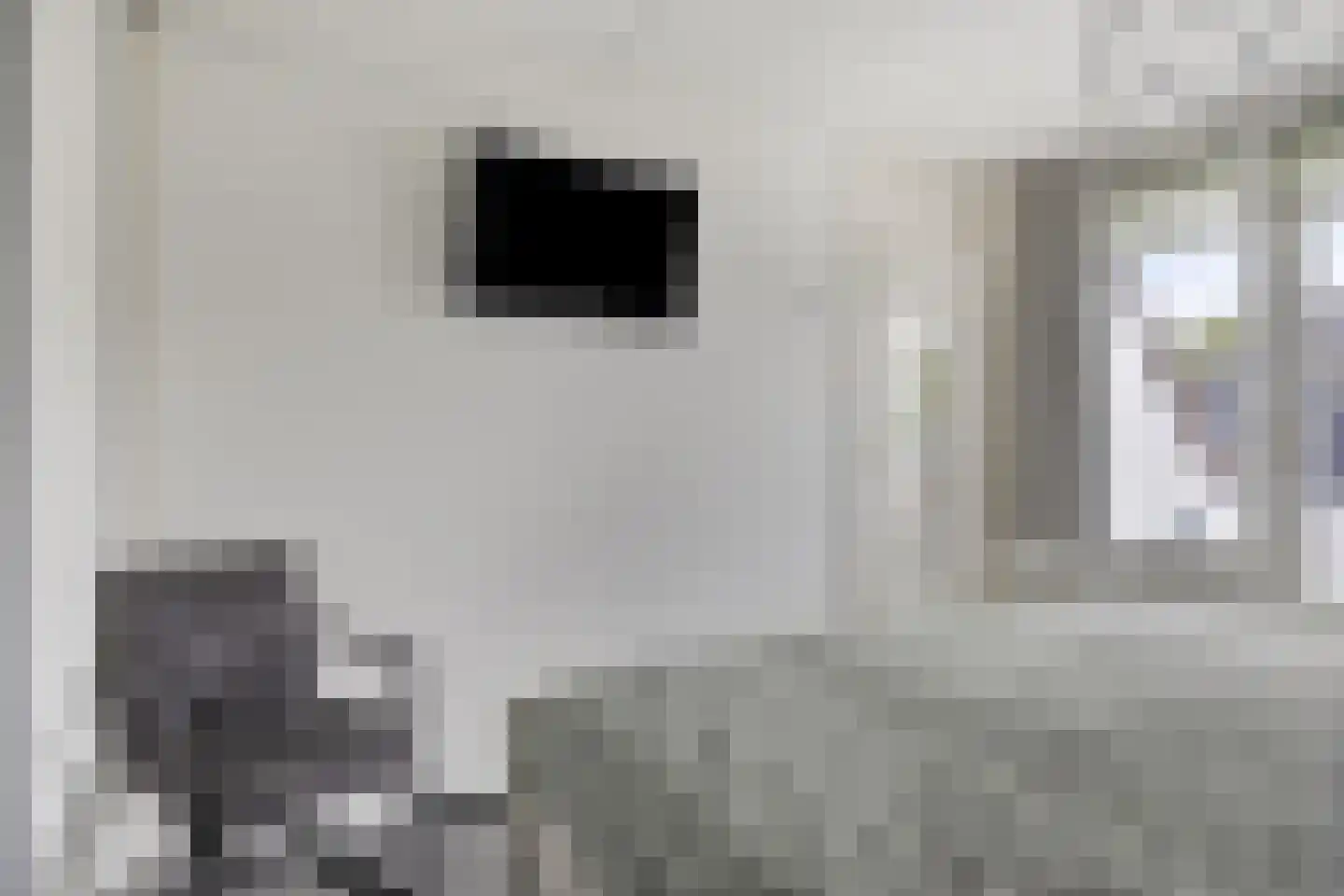 Fonteinkruid 160 Kampen thumbnail 18