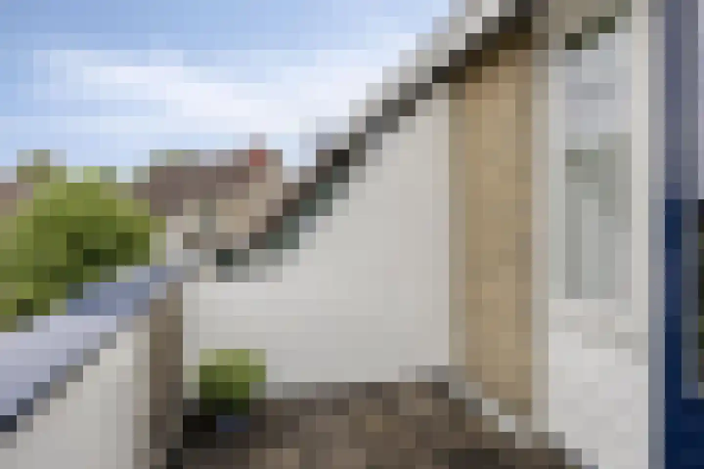 Fonteinkruid 160 Kampen thumbnail 19