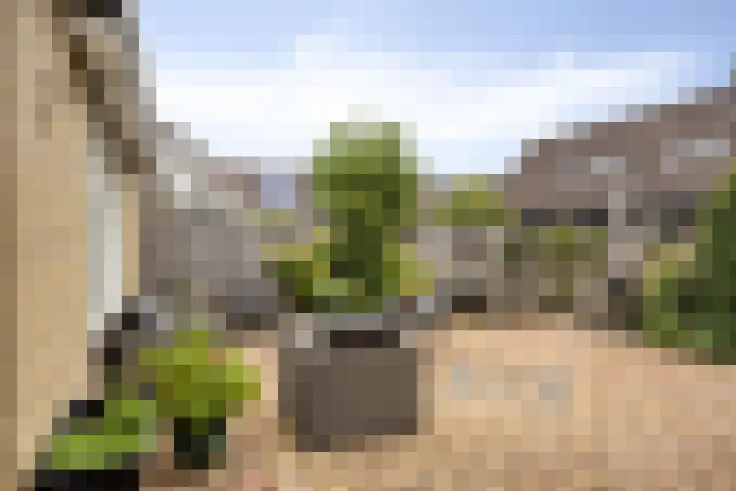 Fonteinkruid 160 Kampen thumbnail 25