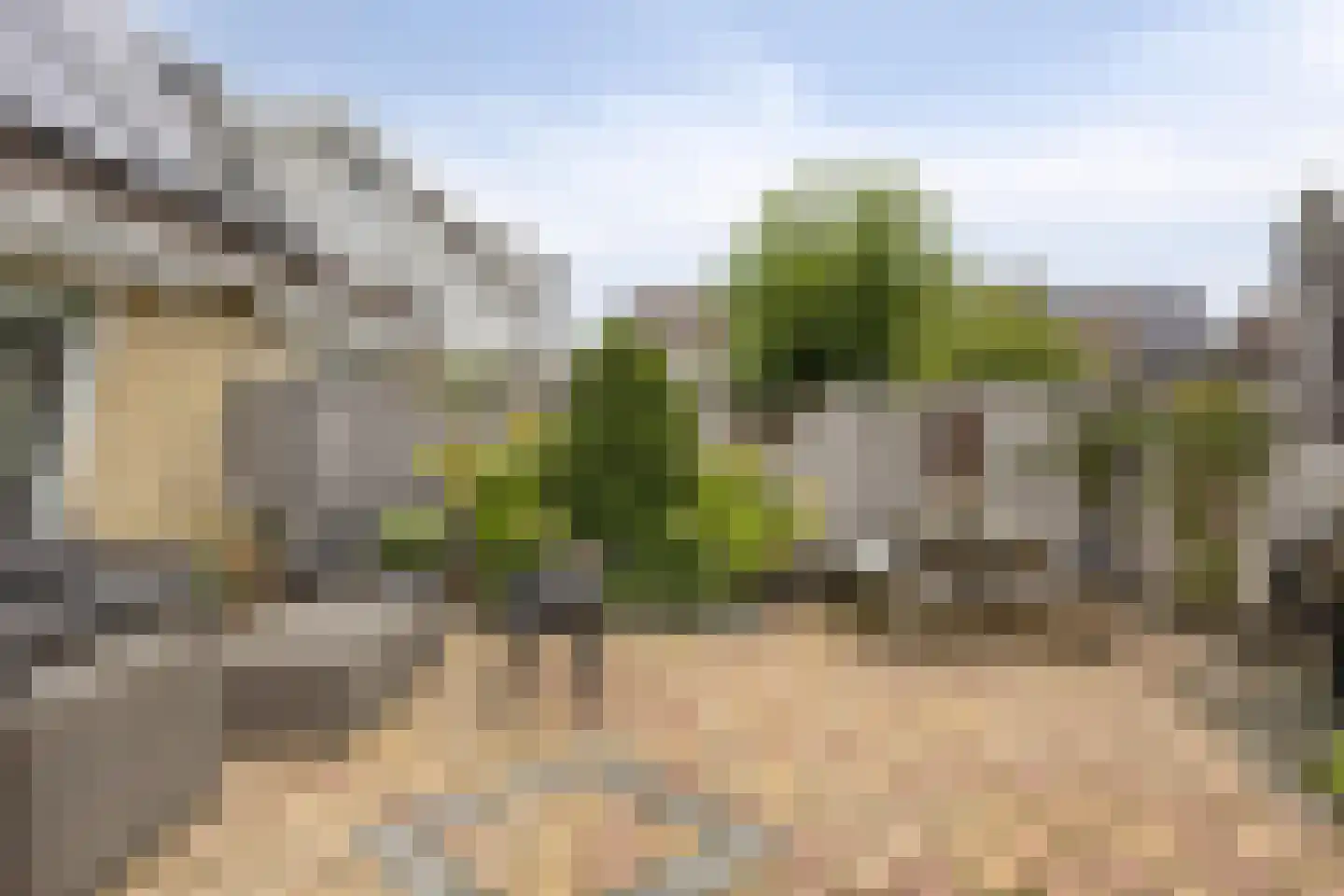 Fonteinkruid 160 Kampen thumbnail 30