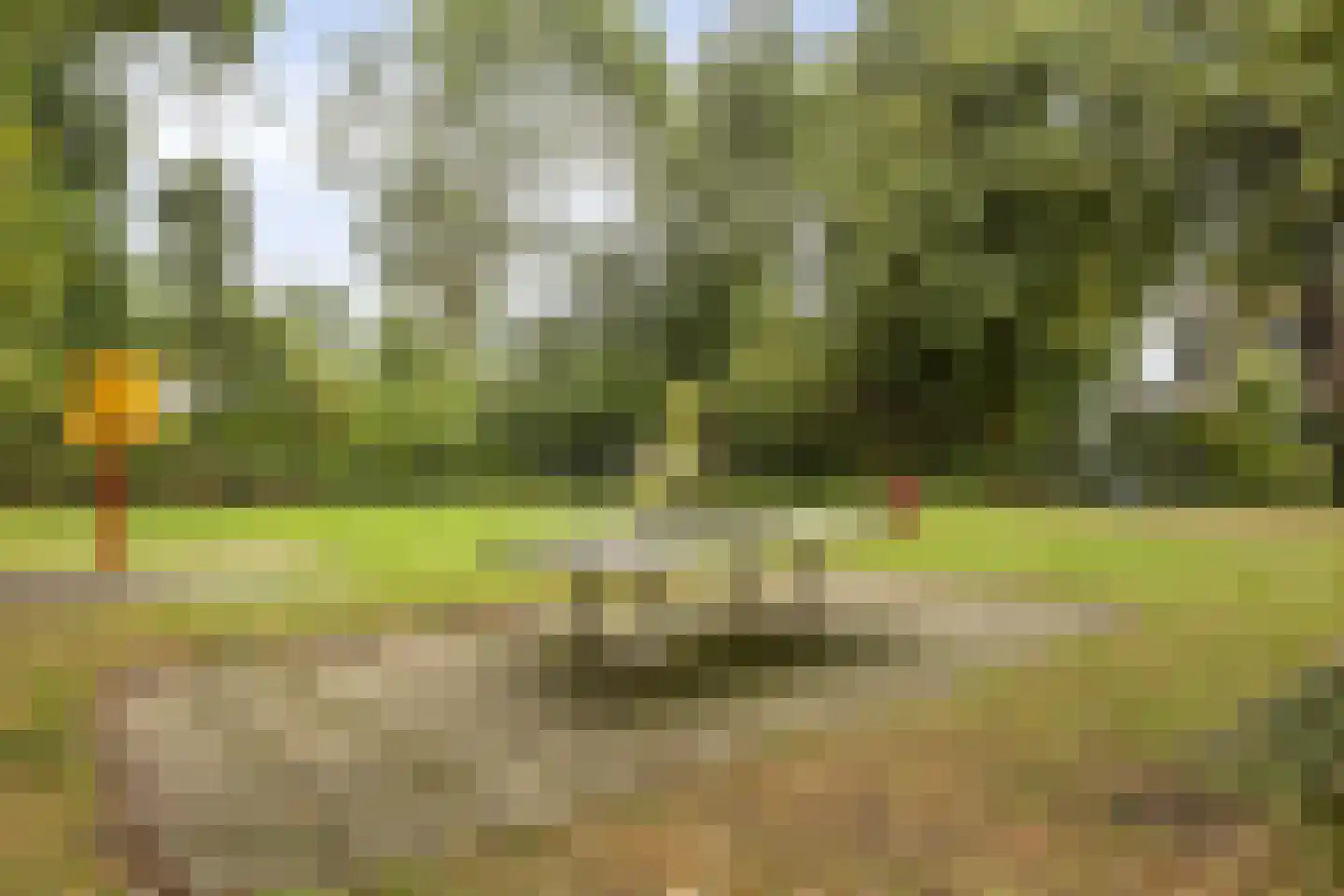 Fonteinkruid 160 Kampen thumbnail 33