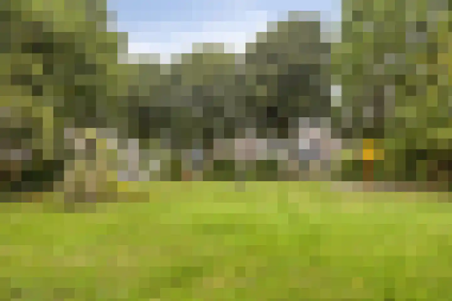 Fonteinkruid 160 Kampen thumbnail 34