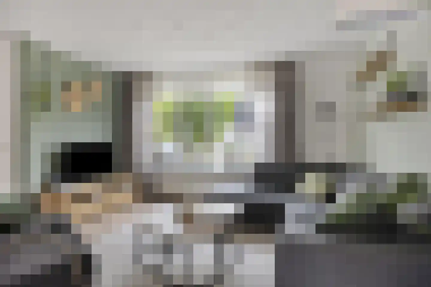 Fonteinkruid 160 Kampen thumbnail 4