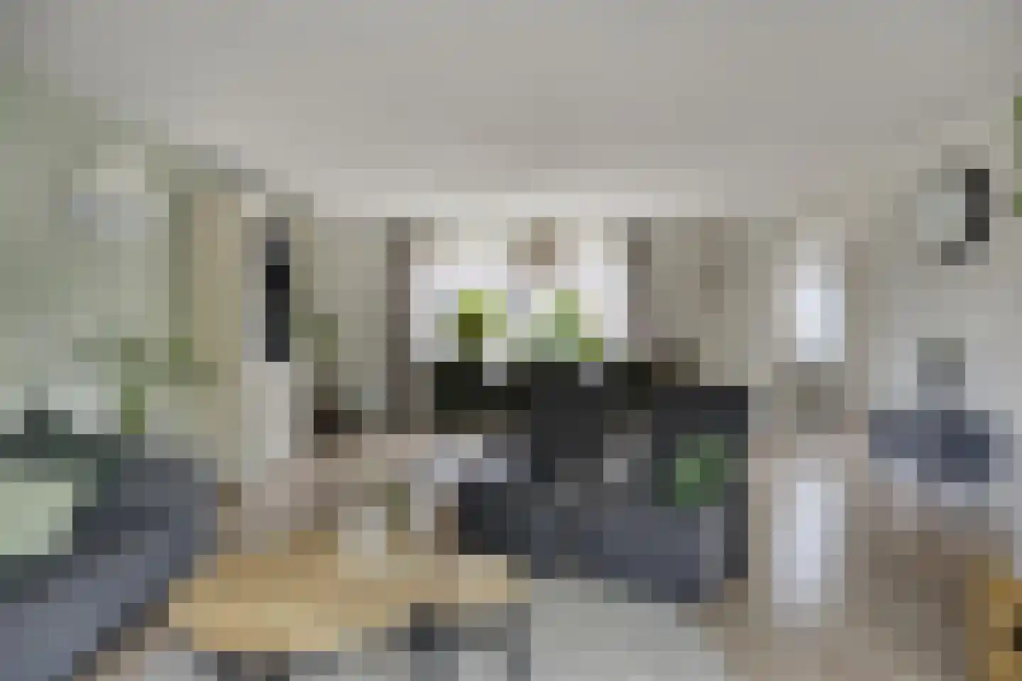 Fonteinkruid 160 Kampen thumbnail 5