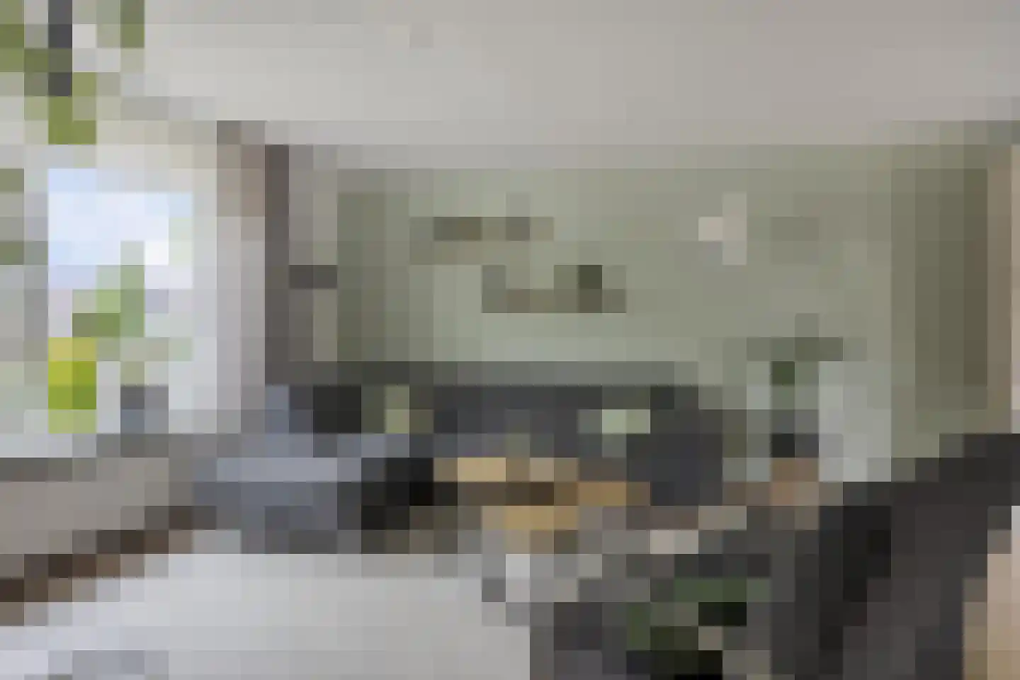 Fonteinkruid 160 Kampen thumbnail 6