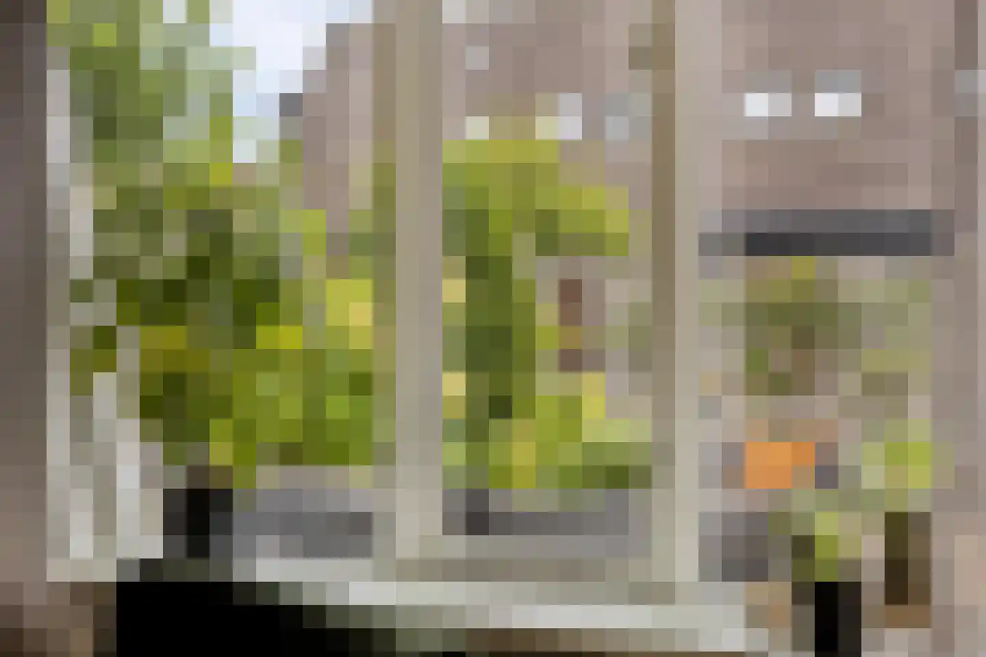 Fonteinkruid 160 Kampen thumbnail 7