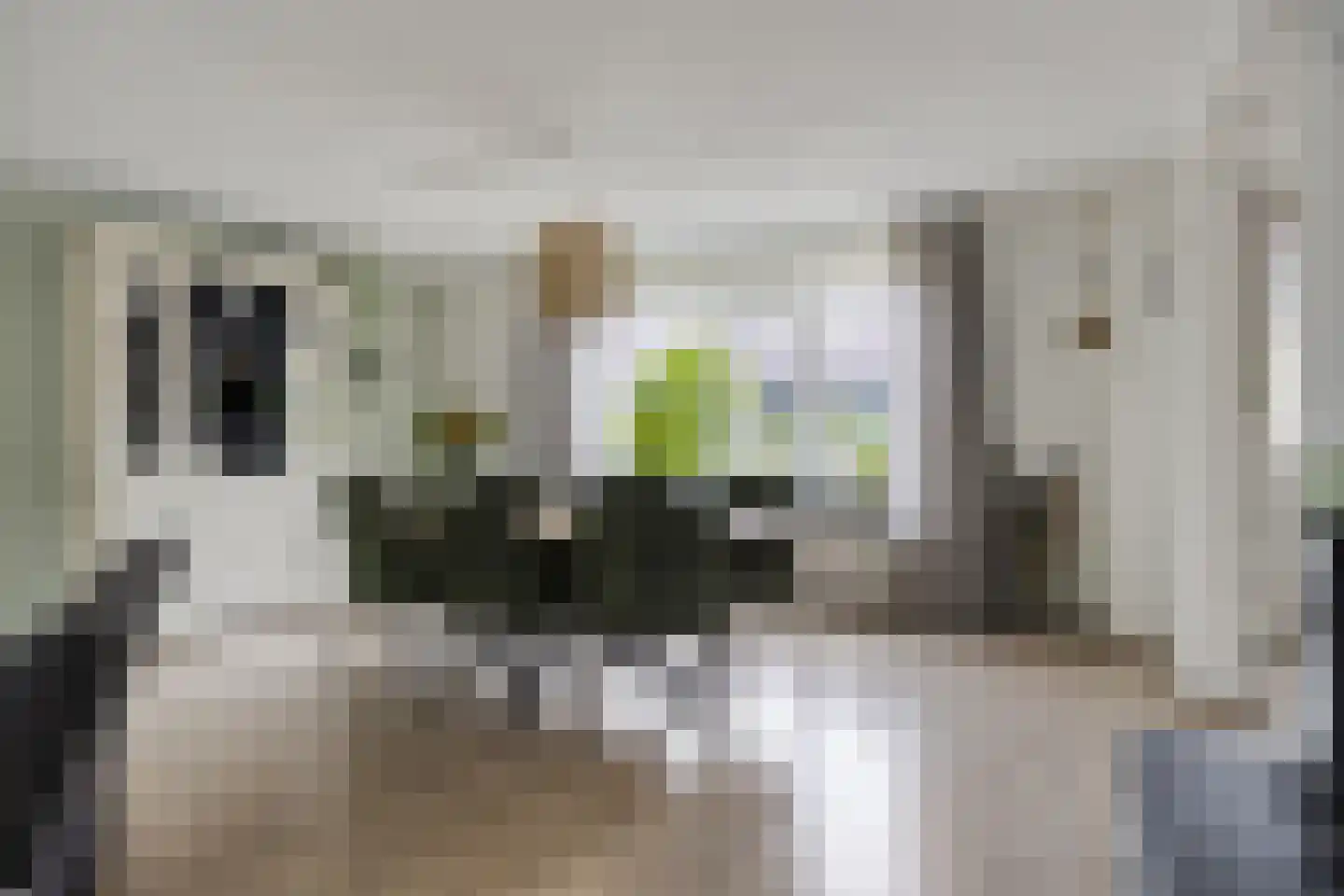 Fonteinkruid 160 Kampen thumbnail 9