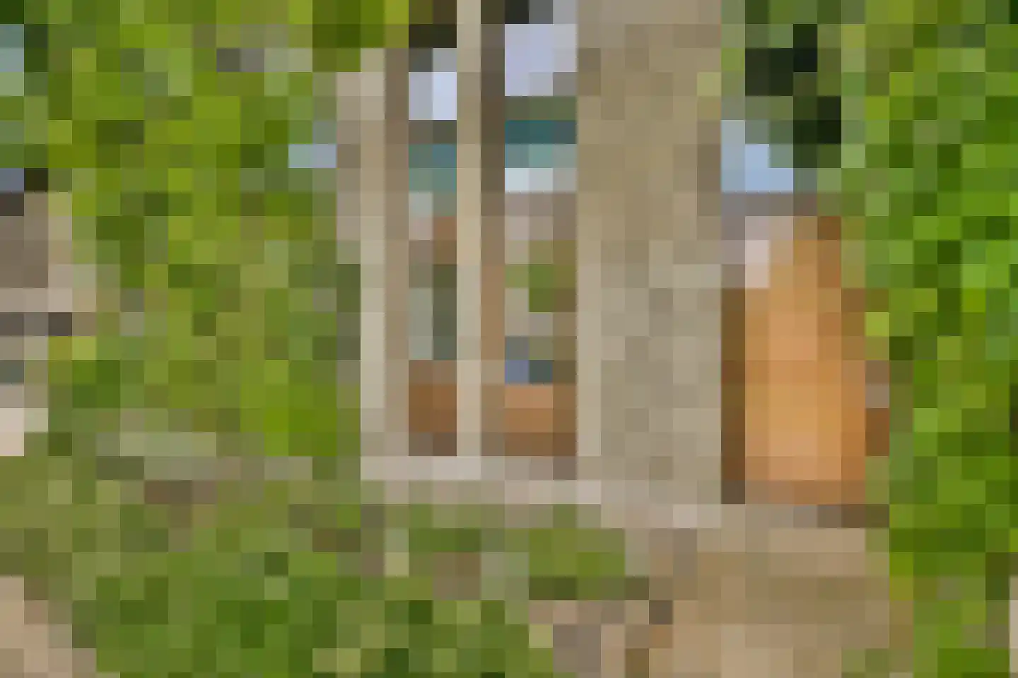 Fonteinkruid 18 Alphen aan den Rijn thumbnail 21