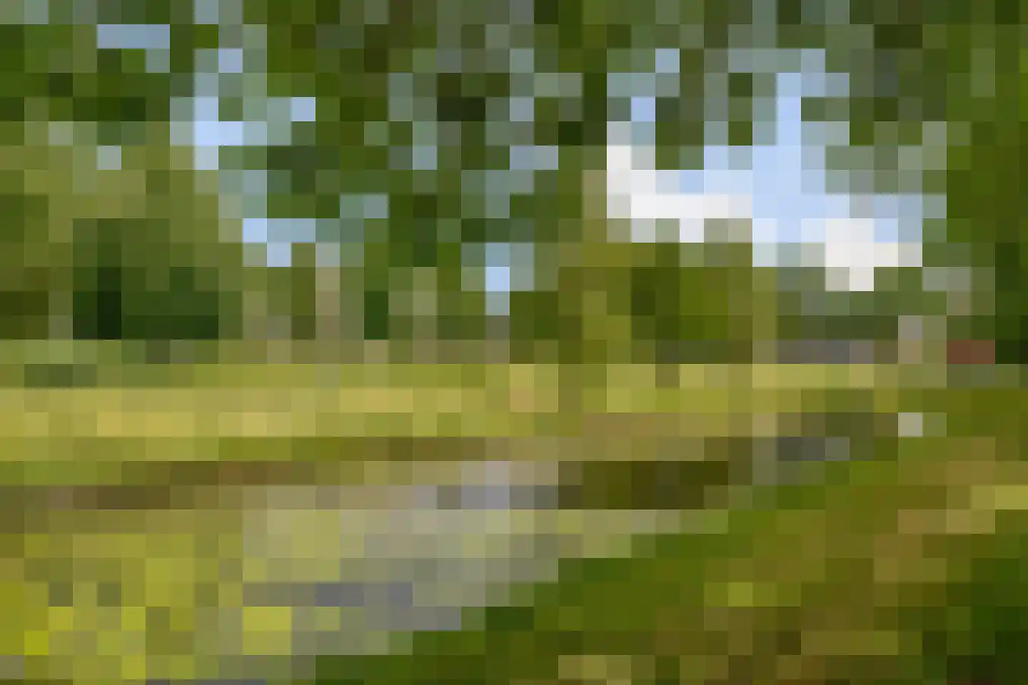 Fonteinkruid 18 Alphen aan den Rijn thumbnail 23