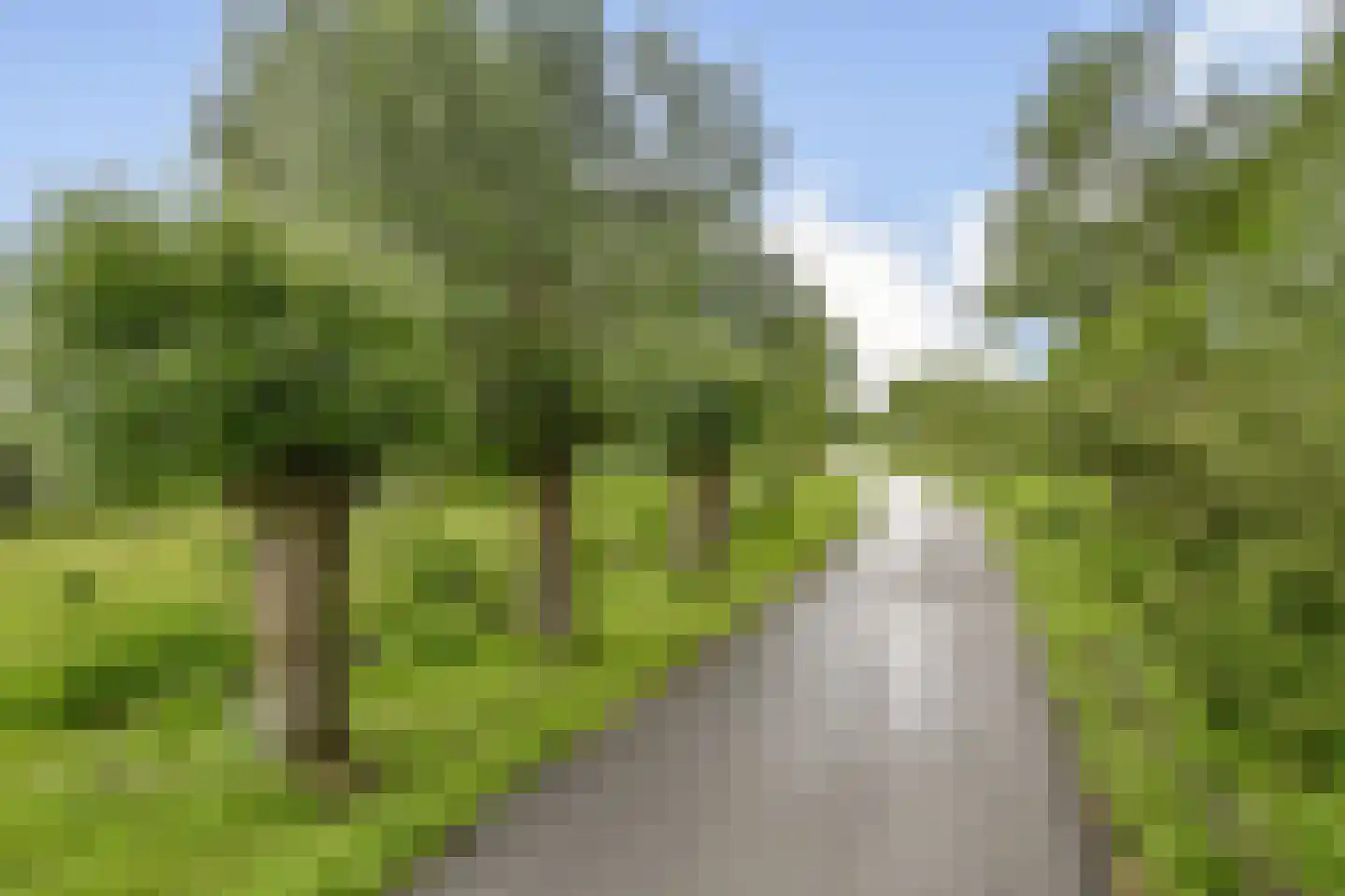 Fonteinkruid 18 Alphen aan den Rijn thumbnail 24
