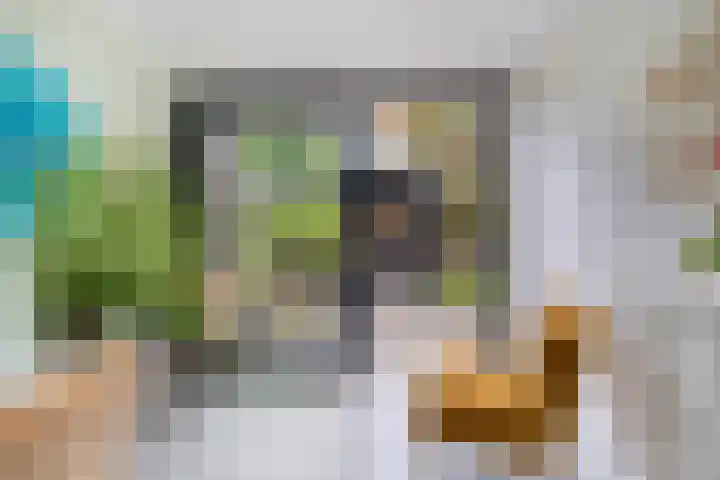 Fonteinkruid 19 a Hardenberg thumbnail 21