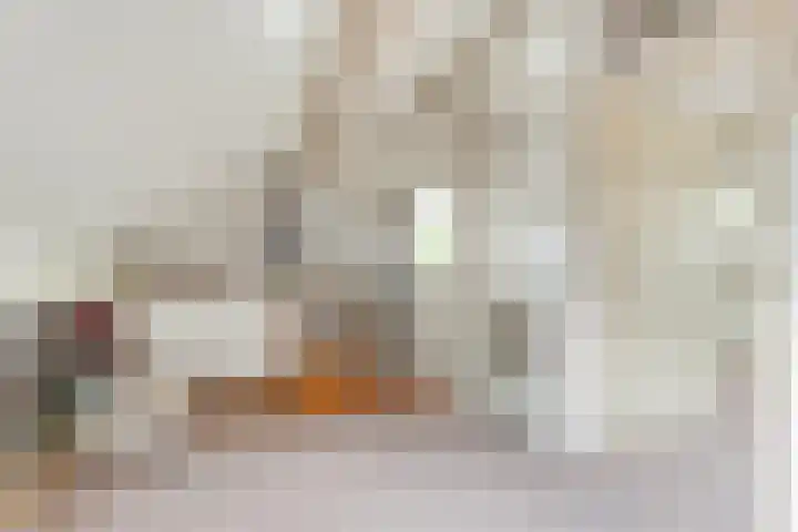 Fonteinkruid 19 a Hardenberg thumbnail 37